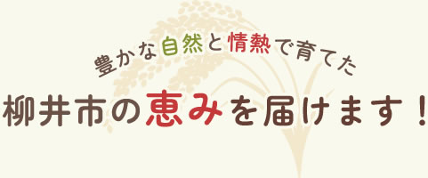 豊かな自然と情熱で育てた柳井市の恵みを届けます！